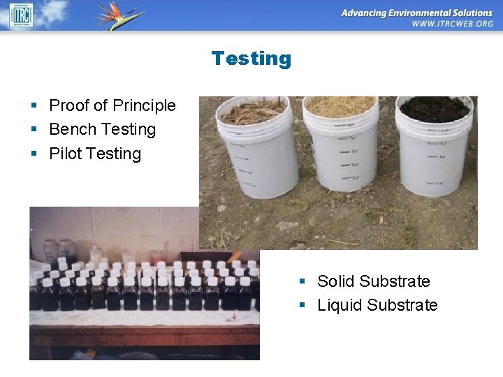 Testing § Proof of Principle § Bench Testing § Pilot Testing § Solid Substrate