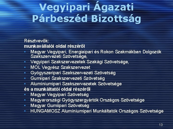 Vegyipari Ágazati Párbeszéd Bizottság Résztvevők: munkavállalói oldal részéről • Magyar Vegyipari, Energiaipari és Rokon