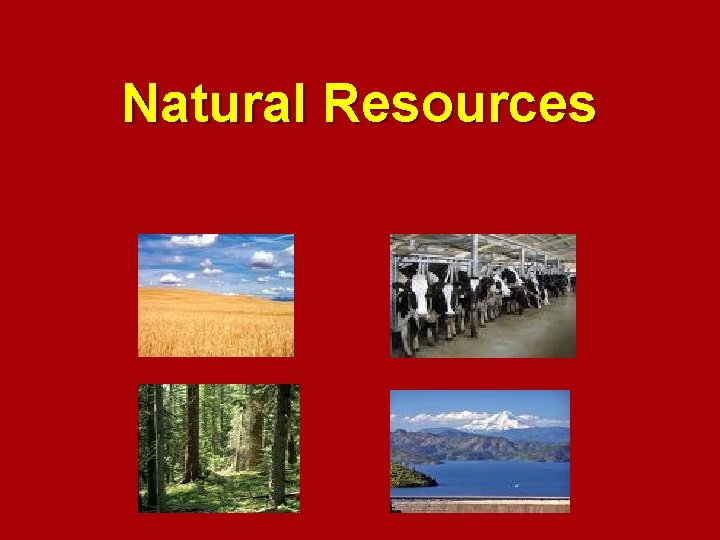 Natural Resources 