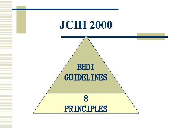 JCIH 2000 EHDI GUIDELINES 8 PRINCIPLES 