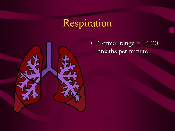 Respiration • Normal range = 14 -20 breaths per minute 
