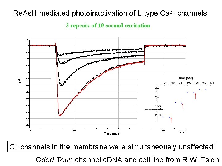 Raw date example 2 of CALI of aof 1 C-(MPCCPGCC) 2 Re. As. H-mediated