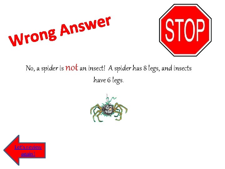 g n o Wr r e w s n A No, a spider is