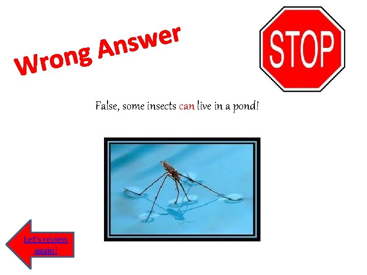 g n o Wr r e w s n A False, some insects can