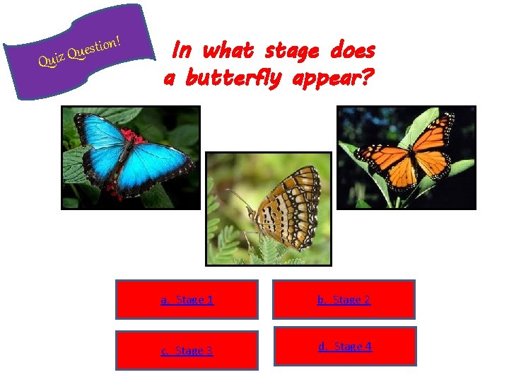 ! n o i t s e u Quiz Q In what stage does