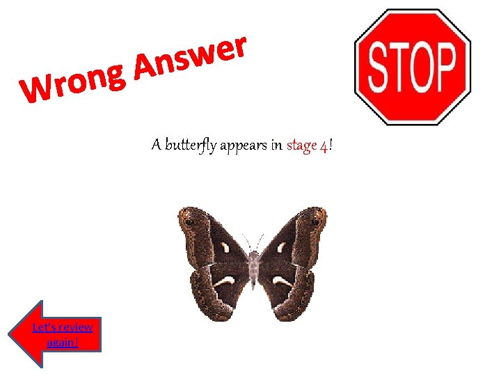 g n o Wr r e w s n A A butterfly appears in