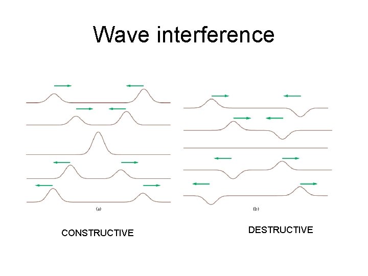 Wave interference CONSTRUCTIVE DESTRUCTIVE Wave interference CONSTRUCTIVE DESTRUCTIVE