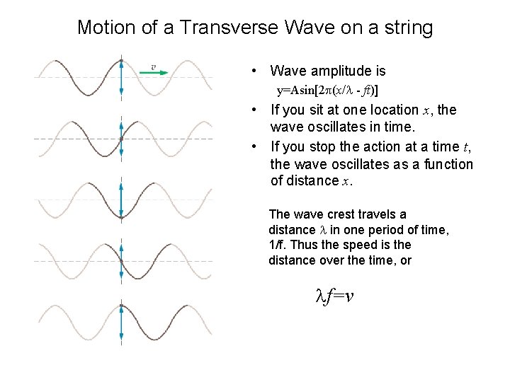 Motion of a Transverse Wave on a string • Wave amplitude is y=Asin[2 p(x/l