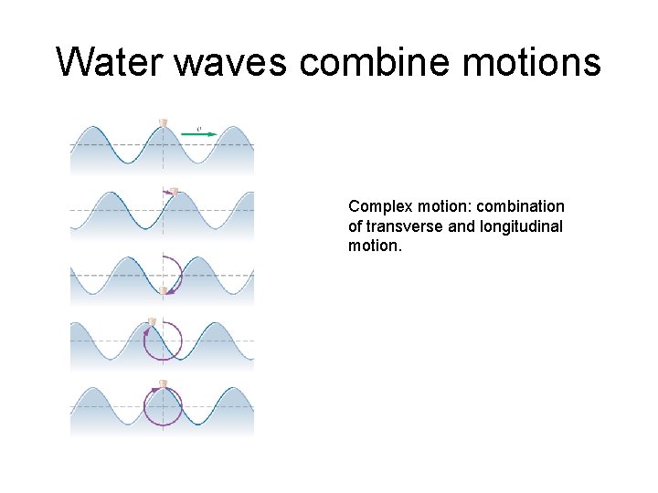 Water waves combine motions Complex motion: combination of transverse and longitudinal motion. 