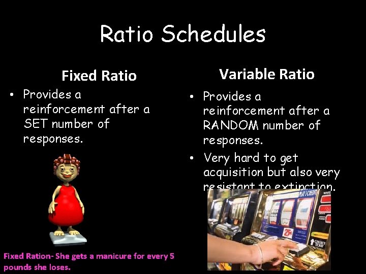 Ratio Schedules Fixed Ratio • Provides a reinforcement after a SET number of responses.
