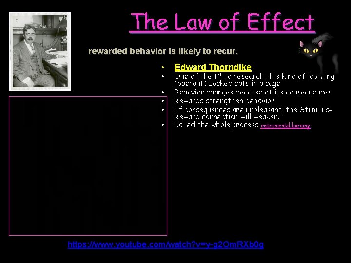 The Law of Effect rewarded behavior is likely to recur. • • • Edward