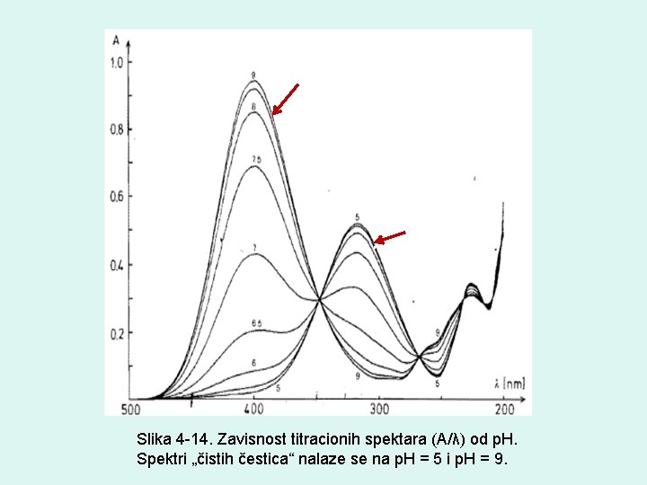 Slika 4 -14. Zavisnost titracionih spektara (A/λ) od p. H. Spektri „čistih čestica“ nalaze