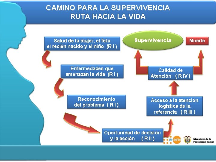 CAMINO PARA LA SUPERVIVENCIA RUTA HACIA LA VIDA Salud de la mujer, el feto