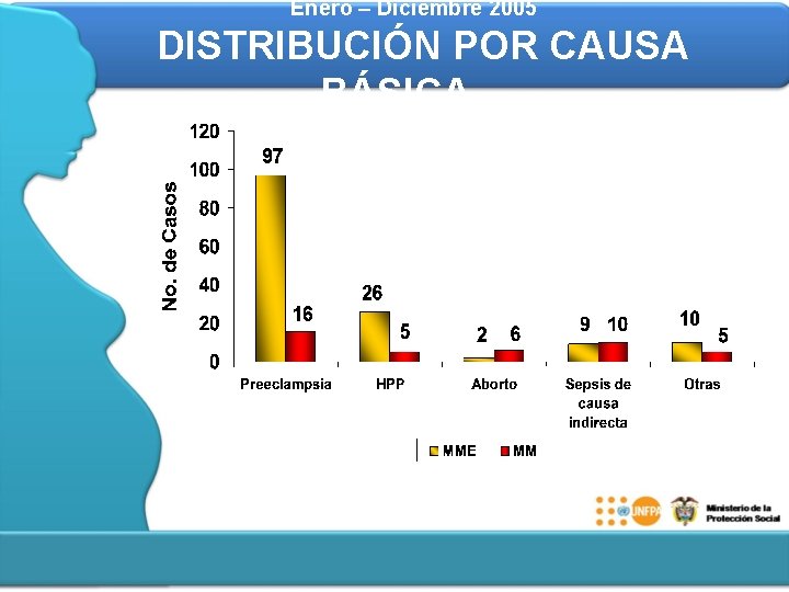 Enero – Diciembre 2005 DISTRIBUCIÓN POR CAUSA BÁSICA 