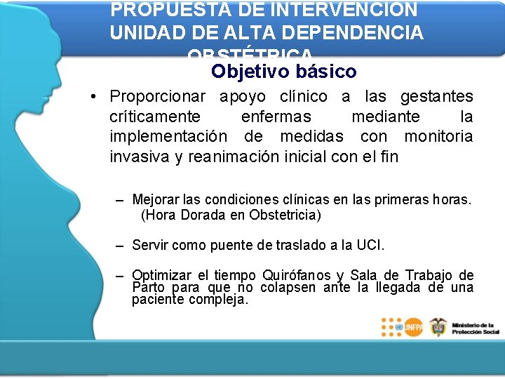 PROPUESTA DE INTERVENCIÓN UNIDAD DE ALTA DEPENDENCIA OBSTÉTRICA Objetivo básico • Proporcionar apoyo clínico