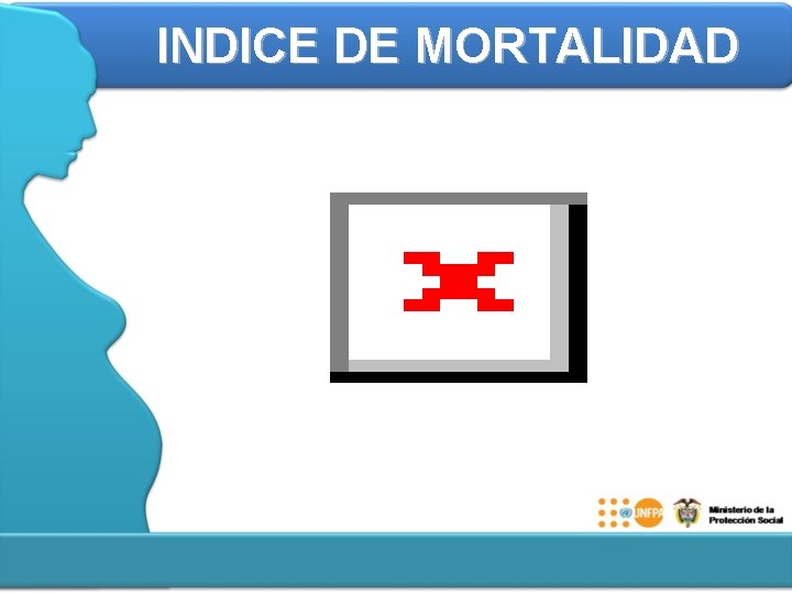 INDICE DE MORTALIDAD 
