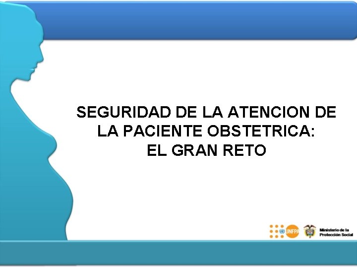 SEGURIDAD DE LA ATENCION DE LA PACIENTE OBSTETRICA: EL GRAN RETO 