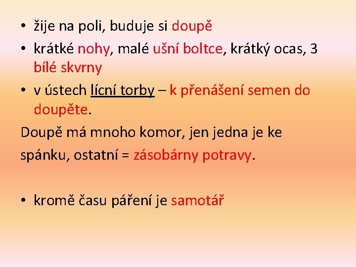  • žije na poli, buduje si doupě • krátké nohy, malé ušní boltce,