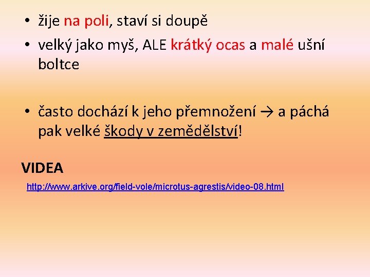  • žije na poli, staví si doupě • velký jako myš, ALE krátký