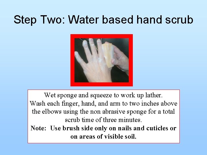 Step Two: Water based hand scrub Wet sponge and squeeze to work up lather.