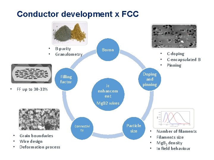 Conductor development x FCC • • B-purity Granulometry Filling factor • • • C-doping