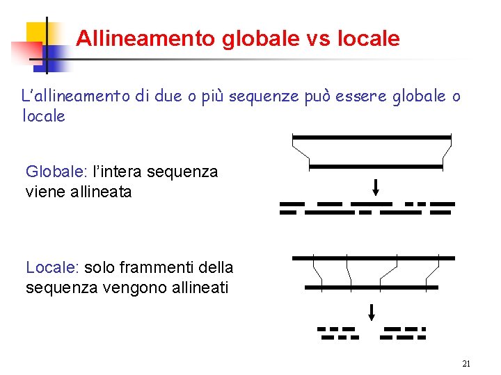 Allineamento globale vs locale L’allineamento di due o più sequenze può essere globale o