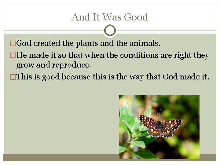 And It Was Good �God created the plants and the animals. �He made it