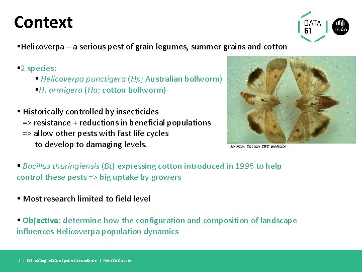 Context §Helicoverpa – a serious pest of grain legumes, summer grains and cotton §