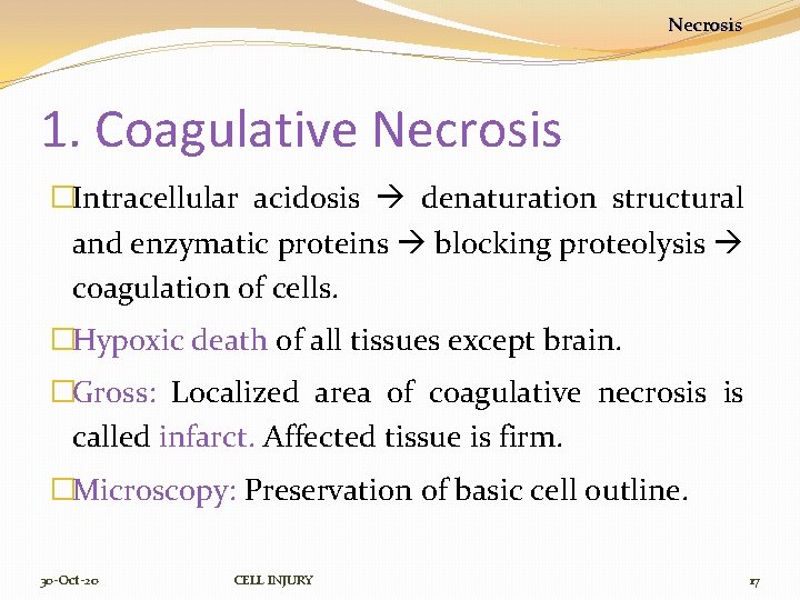 Necrosis 1. Coagulative Necrosis �Intracellular acidosis denaturation structural and enzymatic proteins blocking proteolysis coagulation
