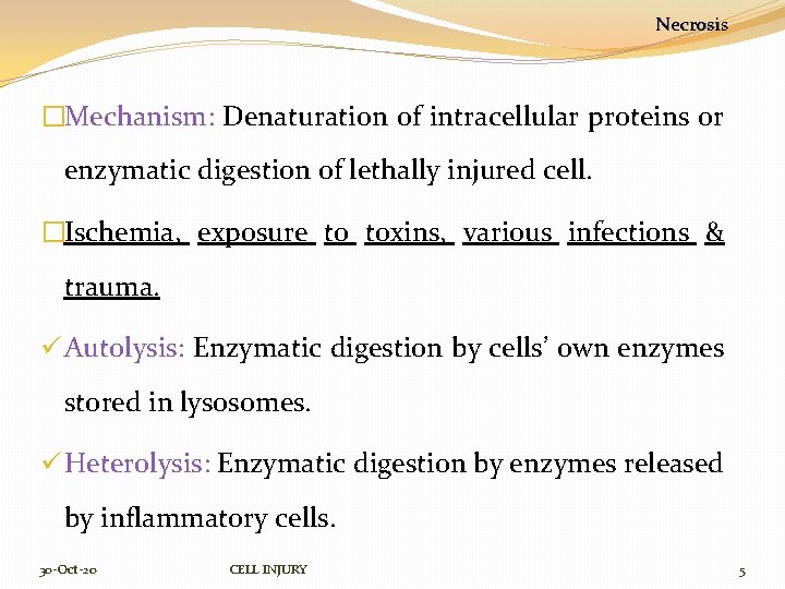 Necrosis �Mechanism: Denaturation of intracellular proteins or enzymatic digestion of lethally injured cell. �Ischemia,