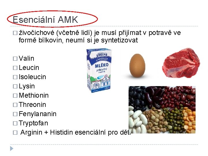 Esenciální AMK � živočichové (včetně lidí) je musí přijímat v potravě ve formě bílkovin,