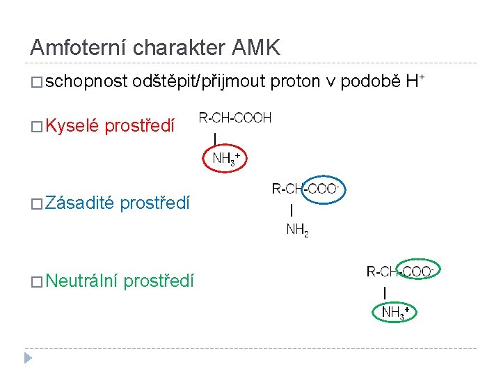 Amfoterní charakter AMK � schopnost odštěpit/přijmout proton v podobě H+ � Kyselé prostředí �