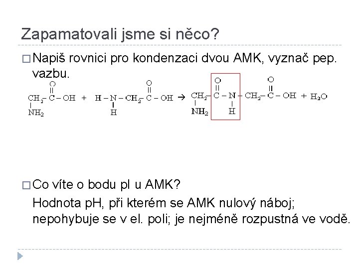 Zapamatovali jsme si něco? � Napiš rovnici pro kondenzaci dvou AMK, vyznač pep. vazbu.