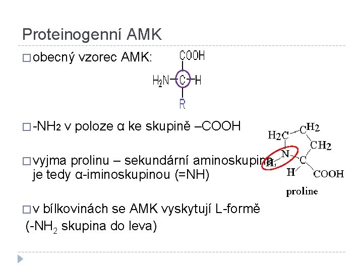 Proteinogenní AMK � obecný vzorec AMK: � -NH 2 v poloze α ke skupině