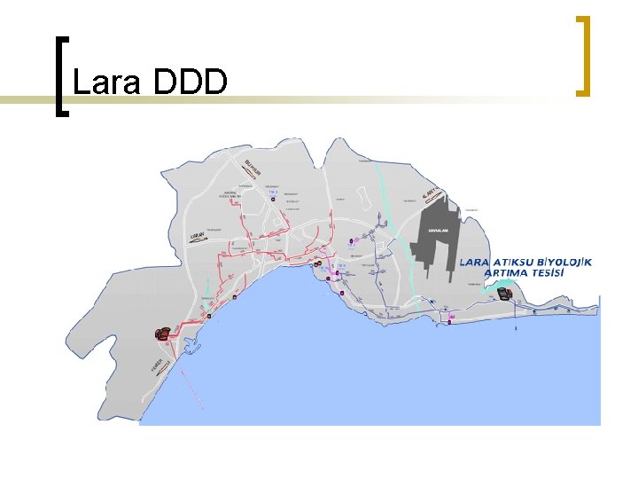 Lara DDD 