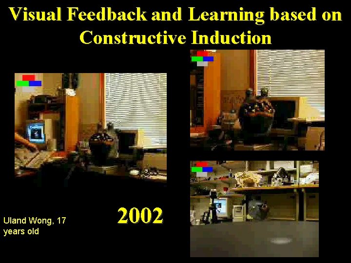 Visual Feedback and Learning based on Constructive Induction Uland Wong, 17 years old 2002