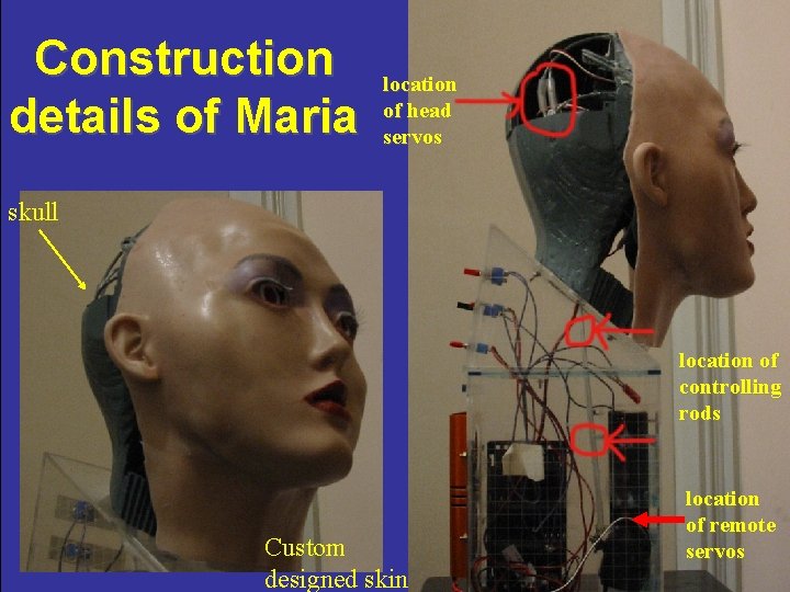 Construction details of Maria location of head servos skull location of controlling rods Custom