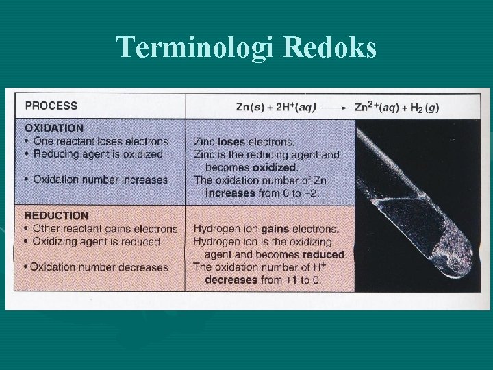 Terminologi Redoks 