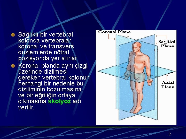 Sağlıklı bir vertebral kolonda vertebralar, koronal ve transvers düzlemlerde nötral pozisyonda yer alırlar Koronal