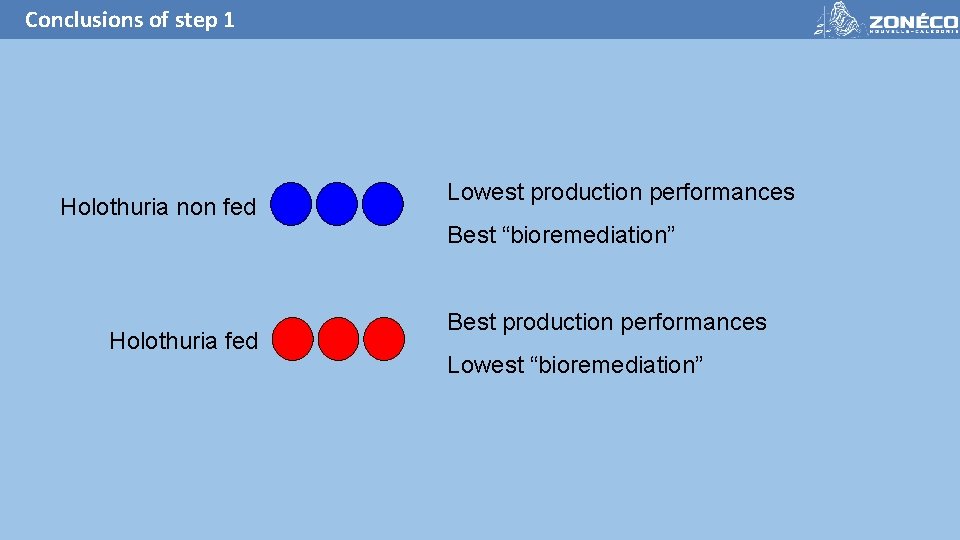 Conclusions of step 1 Holothuria non fed Lowest production performances Best “bioremediation” Holothuria fed