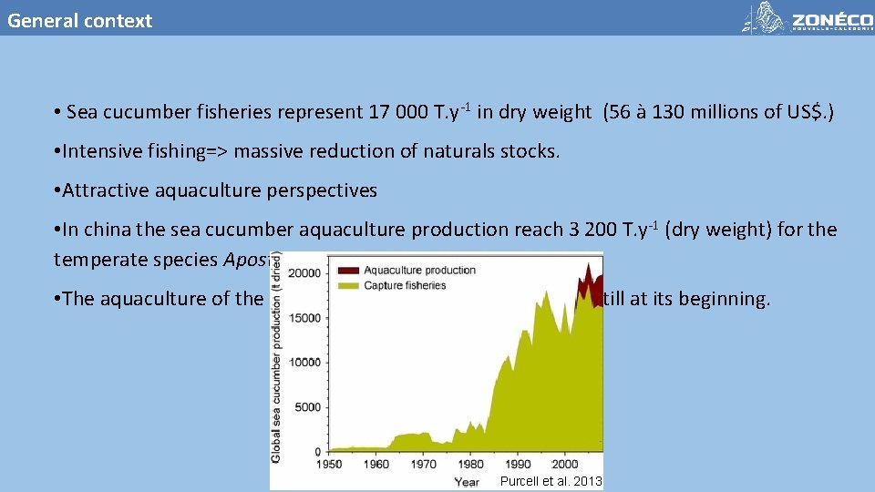 General context • Sea cucumber fisheries represent 17 000 T. y-1 in dry weight