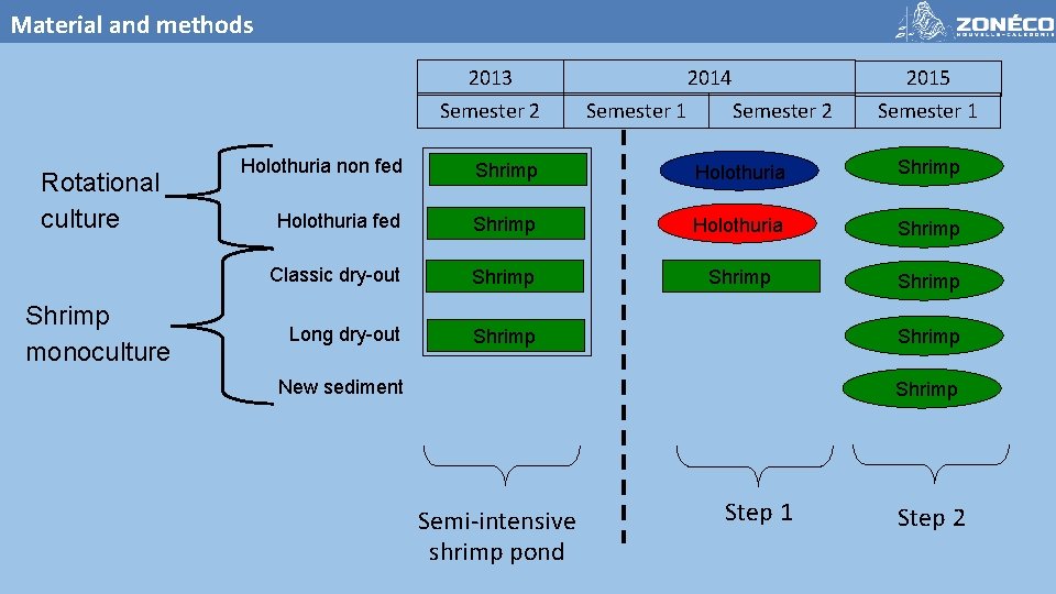 Material and methods 2013 Semester 2 Rotational culture Shrimp monoculture 2014 Semester 1 Semester