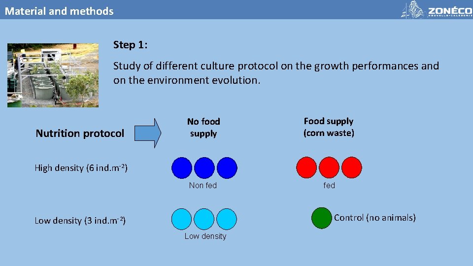 Material and methods Step 1: Study of different culture protocol on the growth performances