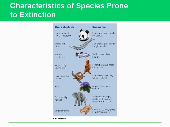Characteristics of Species Prone to Extinction 