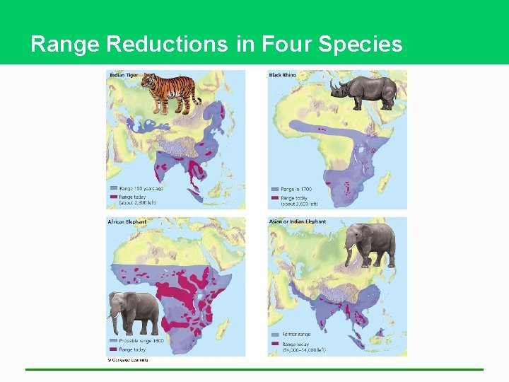 Range Reductions in Four Species 