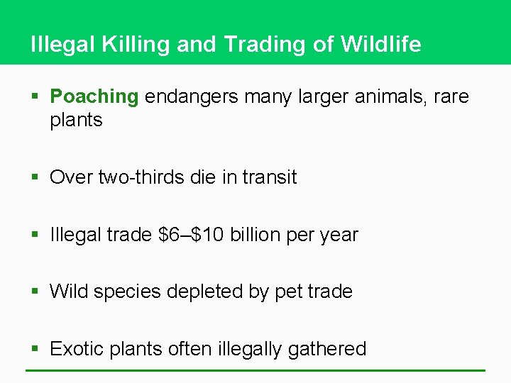 Illegal Killing and Trading of Wildlife § Poaching endangers many larger animals, rare plants