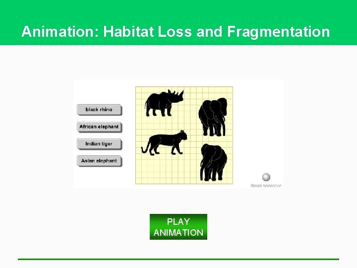 Animation: Habitat Loss and Fragmentation PLAY ANIMATION 