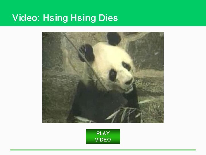 Video: Hsing Dies PLAY VIDEO 