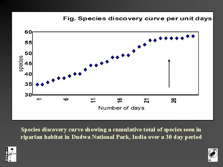  Species discovery curve showing a cumulative total of species seen in riparian habitat