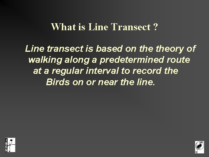 What is Line Transect ? Line transect is based on theory of walking along